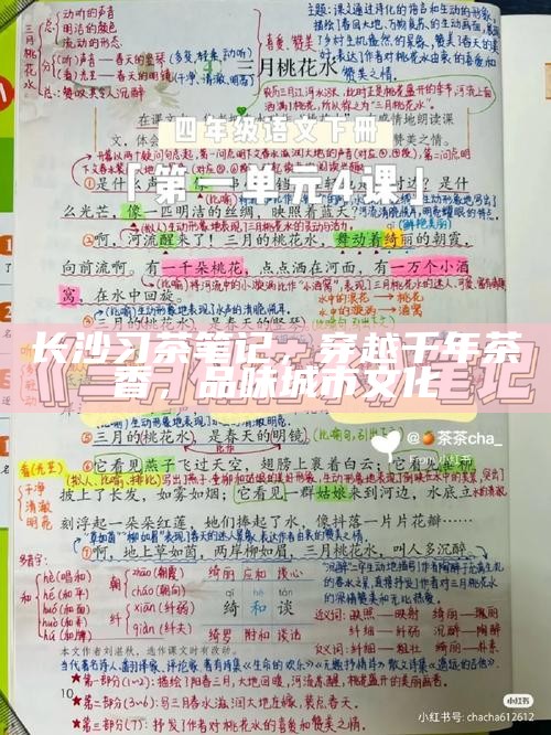 长沙习茶笔记,穿越千年茶香,品味城市文化